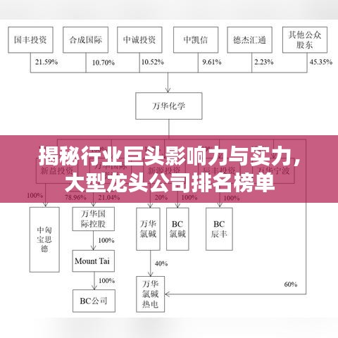 揭秘行业巨头影响力与实力，大型龙头公司排名榜单