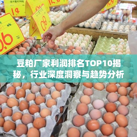 豆粕厂家利润排名TOP10揭秘，行业深度洞察与趋势分析