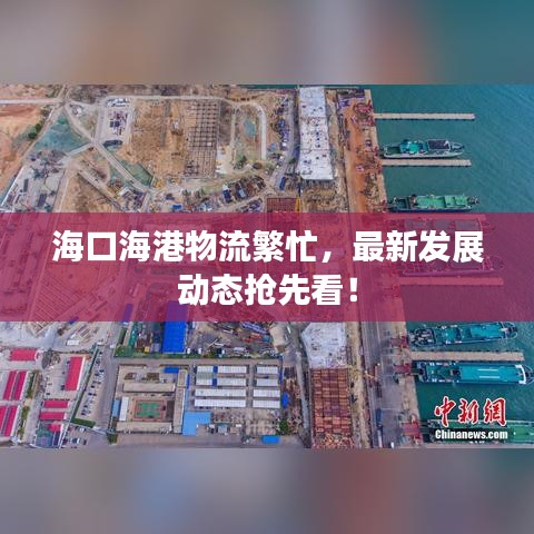 海口海港物流繁忙，最新发展动态抢先看！