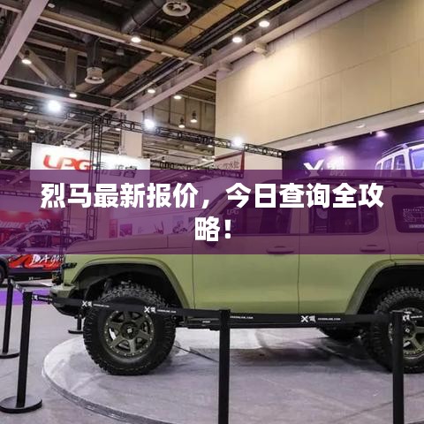 烈马最新报价，今日查询全攻略！