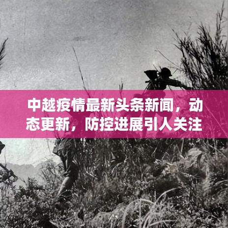 中越疫情最新头条新闻，动态更新，防控进展引人关注