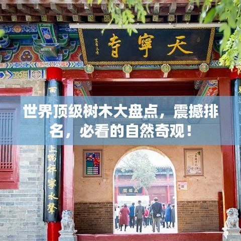 课程中心 第13页