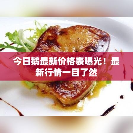 今日鹅最新价格表曝光！最新行情一目了然