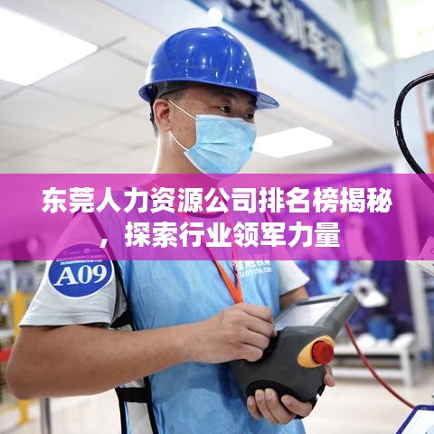 东莞人力资源公司排名榜揭秘，探索行业领军力量