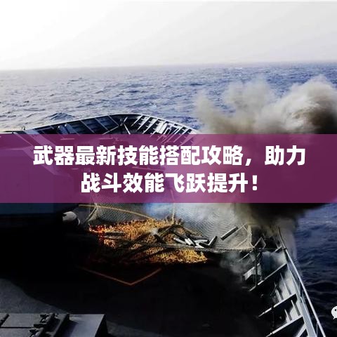 武器最新技能搭配攻略，助力战斗效能飞跃提升！