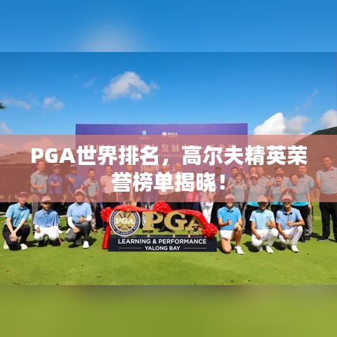 PGA世界排名，高尔夫精英荣誉榜单揭晓！