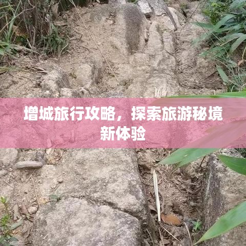 增城旅行攻略，探索旅游秘境新体验