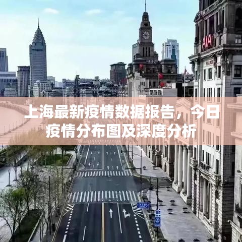 上海最新疫情数据报告，今日疫情分布图及深度分析