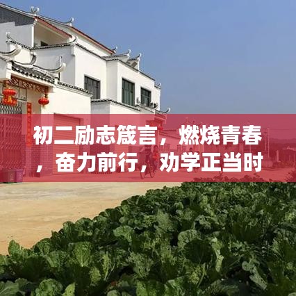 初二励志箴言，燃烧青春，奋力前行，劝学正当时