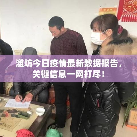 潍坊今日疫情最新数据报告，关键信息一网打尽！