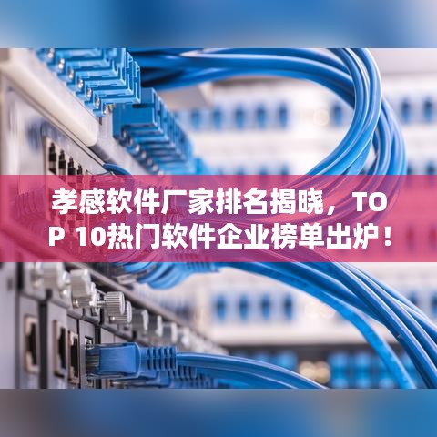 孝感软件厂家排名揭晓，TOP 10热门软件企业榜单出炉！