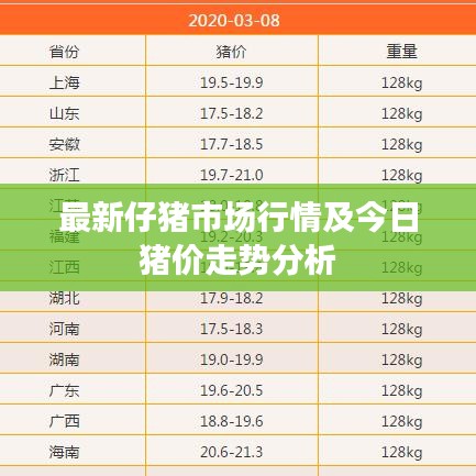 最新仔猪市场行情及今日猪价走势分析