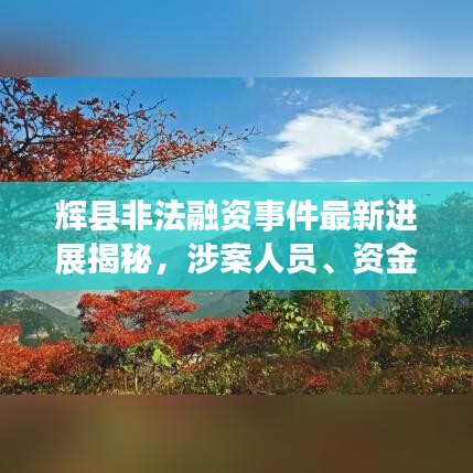 辉县非法融资事件最新进展揭秘，涉案人员、资金及后续动态一网打尽