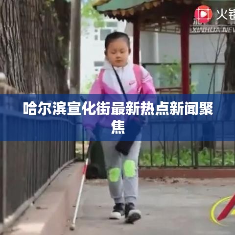 哈尔滨宣化街最新热点新闻聚焦