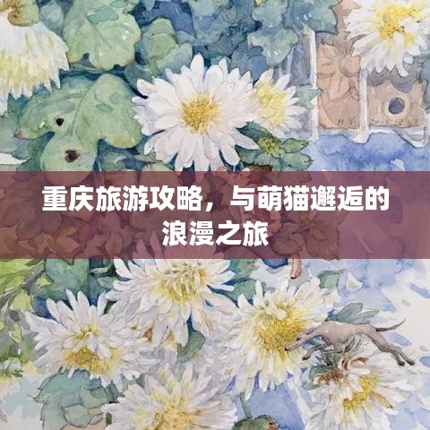 重庆旅游攻略，与萌猫邂逅的浪漫之旅