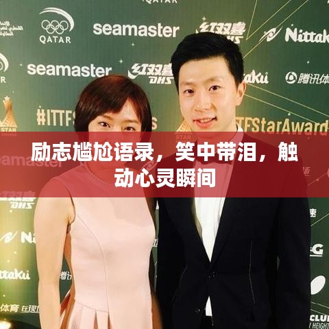 成功案例 第14页