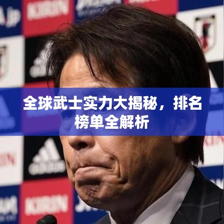 全球武士实力大揭秘，排名榜单全解析