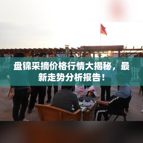 盘锦采摘价格行情大揭秘，最新走势分析报告！