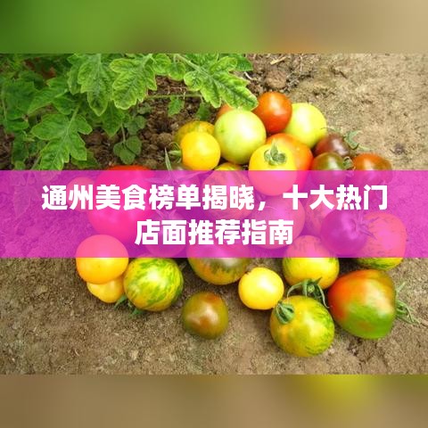 通州美食榜单揭晓，十大热门店面推荐指南