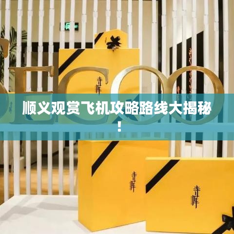 顺义观赏飞机攻略路线大揭秘！