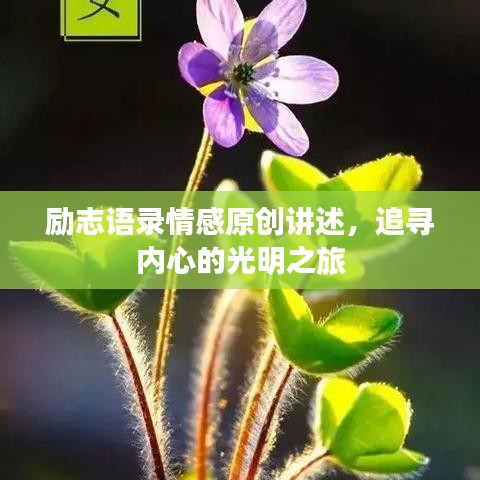 励志语录情感原创讲述，追寻内心的光明之旅