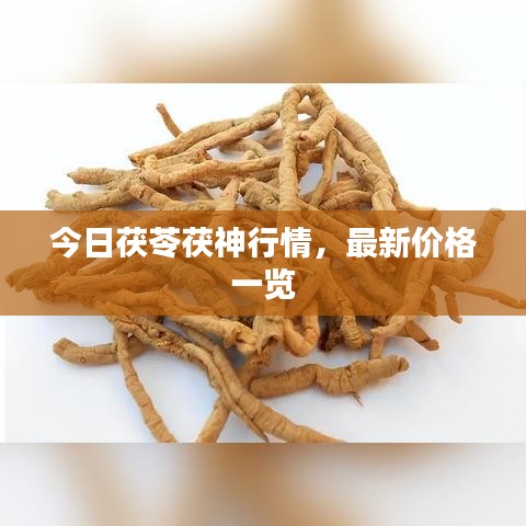 鸟面鹄形