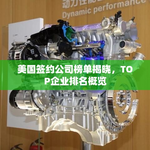 美国签约公司榜单揭晓，TOP企业排名概览