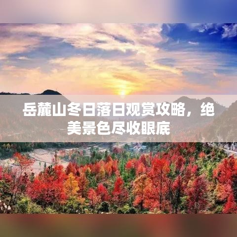 岳麓山冬日落日观赏攻略，绝美景色尽收眼底