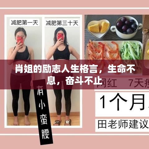 仙风道骨
