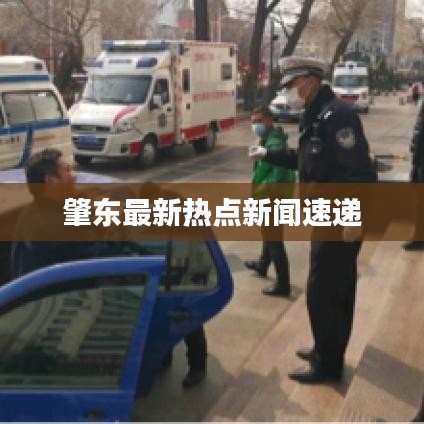 肇东最新热点新闻速递