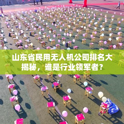 山东省民用无人机公司排名大揭秘，谁是行业领军者？