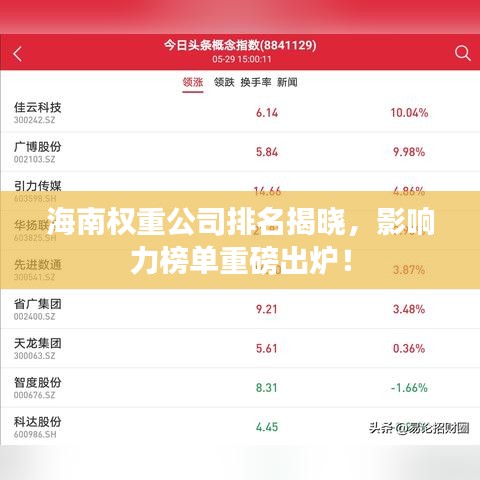 海南权重公司排名揭晓，影响力榜单重磅出炉！