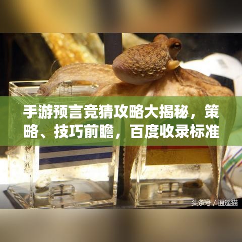 手游预言竞猜攻略大揭秘，策略、技巧前瞻，百度收录标准标题！