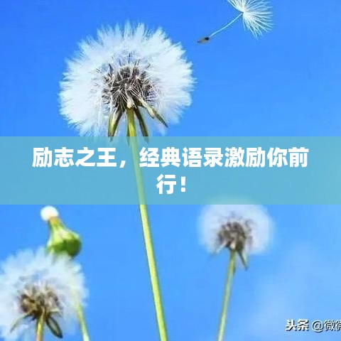 励志之王，经典语录激励你前行！
