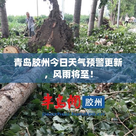 青岛胶州今日天气预警更新，风雨将至！