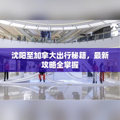 沈阳至加拿大出行秘籍，最新攻略全掌握