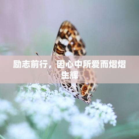 励志前行，因心中所爱而熠熠生辉