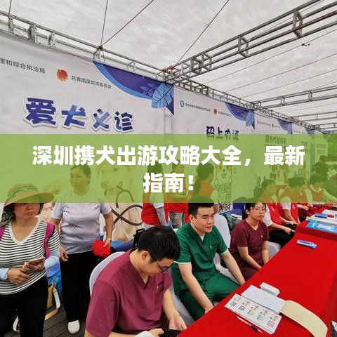 深圳携犬出游攻略大全，最新指南！