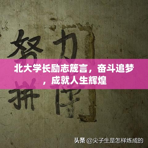 北大学长励志箴言，奋斗追梦，成就人生辉煌