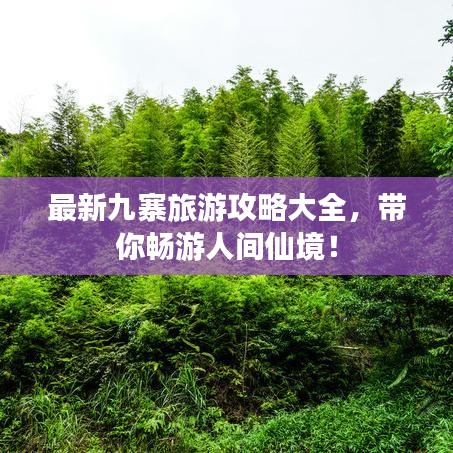 最新九寨旅游攻略大全，带你畅游人间仙境！
