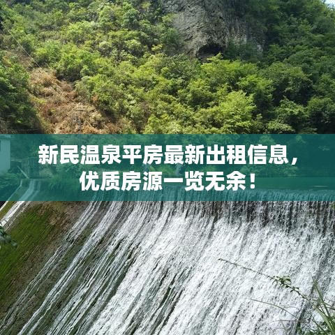 新民温泉平房最新出租信息，优质房源一览无余！