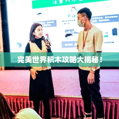 完美世界积木攻略大揭秘！
