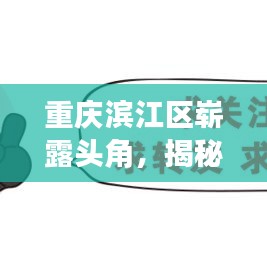 重庆滨江区崭露头角，揭秘活力滨江的新发展动态