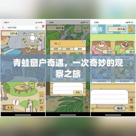 青蛙窗户奇遇，一次奇妙的观察之旅
