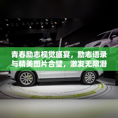 青春励志视觉盛宴，励志语录与精美图片合璧，激发无限潜能与力量