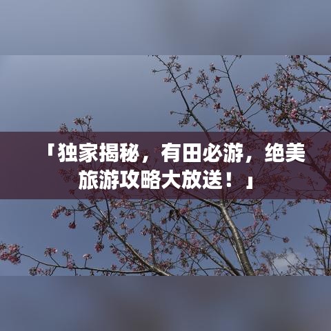 「独家揭秘，有田必游，绝美旅游攻略大放送！」