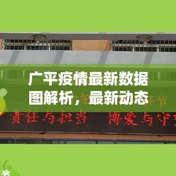 广平疫情最新数据图解析，最新动态一目了然