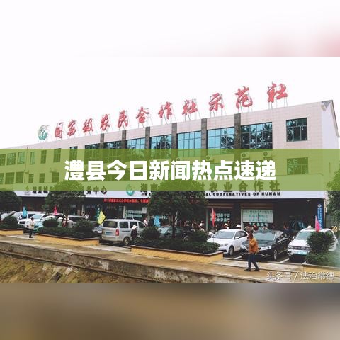 澧县今日新闻热点速递