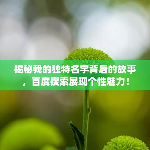 揭秘我的独特名字背后的故事，百度搜索展现个性魅力！
