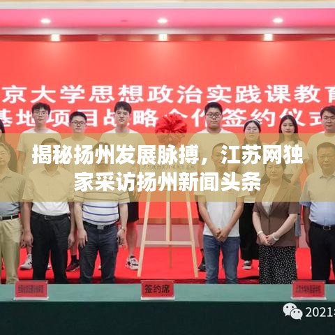 揭秘扬州发展脉搏，江苏网独家采访扬州新闻头条